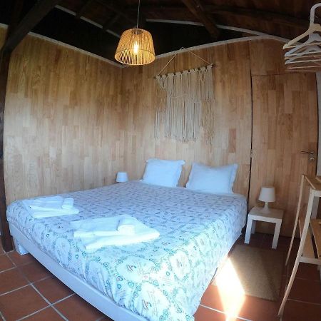 Villa Casa Dos Flamingos Murtosa Esterno foto