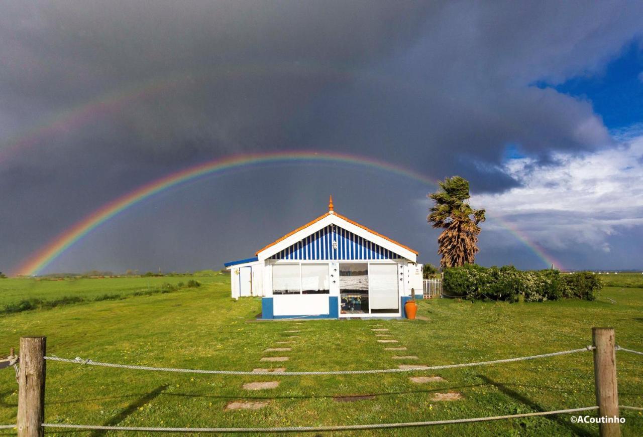 Villa Casa Dos Flamingos Murtosa Esterno foto