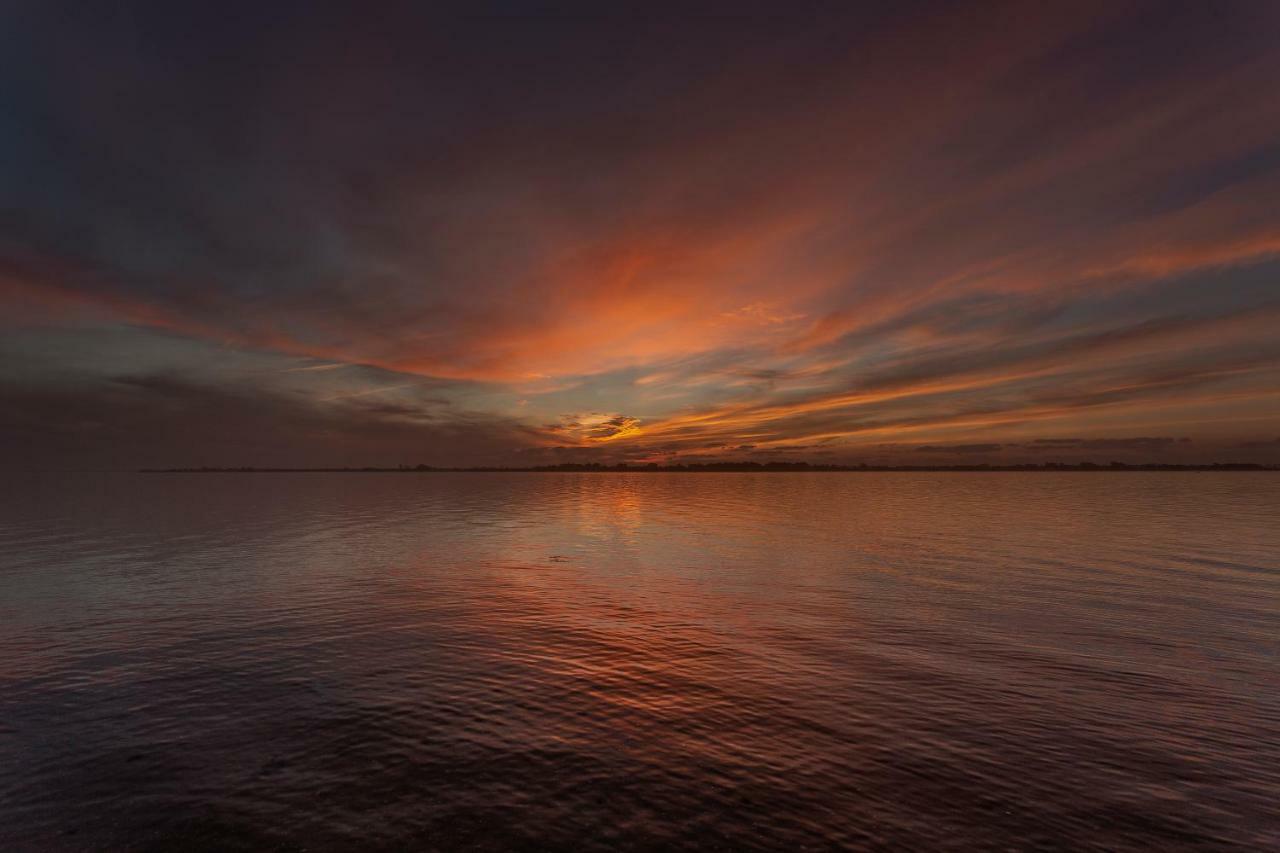 Villa Casa Dos Flamingos Murtosa Esterno foto